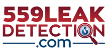 559 Leak Detection Logo